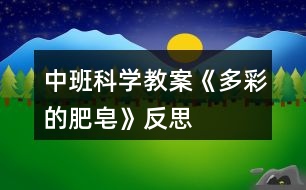 中班科學教案《多彩的肥皂》反思