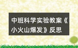 中班科學(xué)實(shí)驗(yàn)教案《小火山爆發(fā)》反思