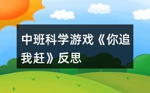 中班科學(xué)游戲《你追我趕》反思