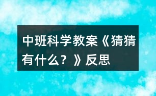 中班科學(xué)教案《猜猜有什么？》反思