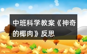 中班科學教案《神奇的椰肉》反思