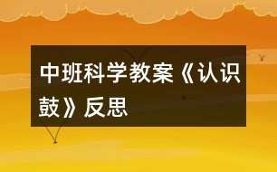 中班科學教案《認識鼓》反思