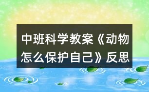 中班科學教案《動物怎么保護自己》反思