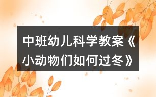 中班幼兒科學(xué)教案《小動物們?nèi)绾芜^冬》反思