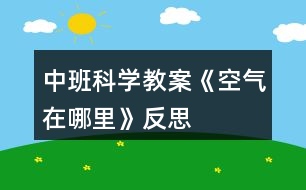 中班科學(xué)教案《空氣在哪里》反思