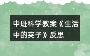 中班科學教案《生活中的夾子》反思