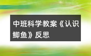 中班科學教案《認識鯽魚》反思