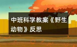 中班科學教案《野生動物》反思