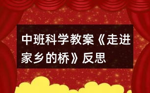 中班科學(xué)教案《走進家鄉(xiāng)的橋》反思