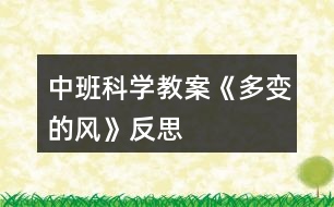 中班科學(xué)教案《多變的風(fēng)》反思