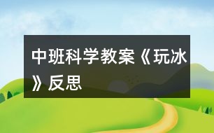 中班科學(xué)教案《玩冰》反思