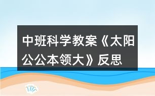 中班科學(xué)教案《太陽(yáng)公公本領(lǐng)大》反思