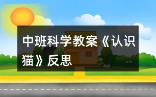 中班科學教案《認識貓》反思