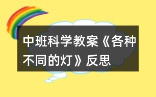 中班科學教案《各種不同的燈》反思