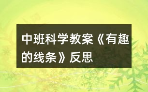 中班科學(xué)教案《有趣的線條》反思