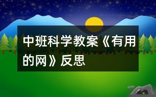 中班科學(xué)教案《有用的網(wǎng)》反思