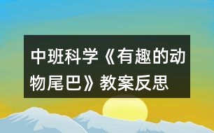 中班科學《有趣的動物尾巴》教案反思