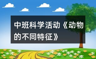 中班科學活動《動物的不同特征》