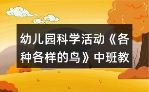 幼兒園科學(xué)活動(dòng)《各種各樣的鳥》中班教案反思