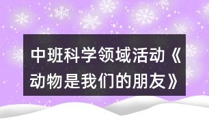 中班科學(xué)領(lǐng)域活動《動物是我們的朋友》