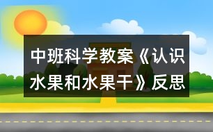 中班科學(xué)教案《認(rèn)識(shí)水果和水果干》反思