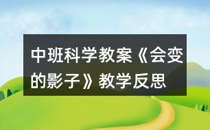 中班科學教案《會變的影子》教學反思