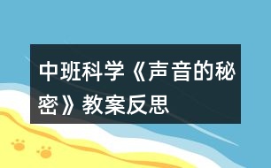 中班科學(xué)《聲音的秘密》教案反思