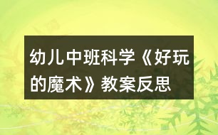 幼兒中班科學《好玩的魔術》教案反思