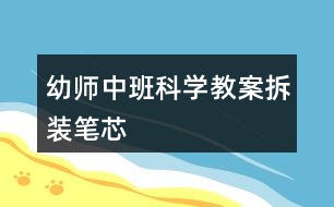 幼師中班科學(xué)教案拆裝筆芯