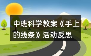 中班科學(xué)教案《手上的線條》活動反思