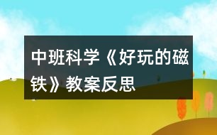 中班科學《好玩的磁鐵》教案反思