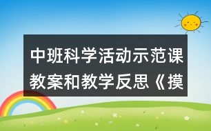 中班科學(xué)活動示范課教案和教學(xué)反思《摸摸有什么感覺》