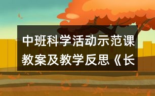 中班科學(xué)活動示范課教案及教學(xué)反思《長長的面條》