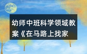 幼師中班科學領域教案《在馬路上—找家》