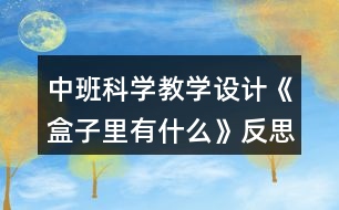 中班科學(xué)教學(xué)設(shè)計《盒子里有什么》反思