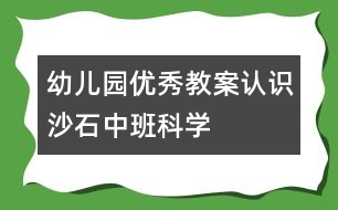 幼兒園優(yōu)秀教案：認識沙石（中班科學）