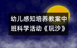 幼兒感知培養(yǎng)教案中班科學活動：《玩沙》