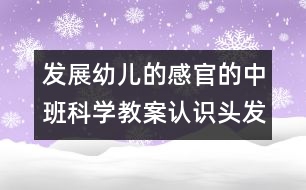 發(fā)展幼兒的感官的中班科學教案：認識頭發(fā)