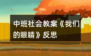 中班社會教案《我們的眼睛》反思