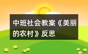 中班社會(huì)教案《美麗的農(nóng)村》反思