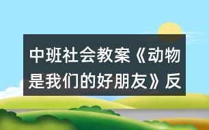 中班社會(huì)教案《動(dòng)物是我們的好朋友》反思