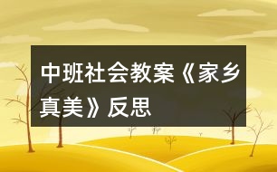 中班社會教案《家鄉(xiāng)真美》反思