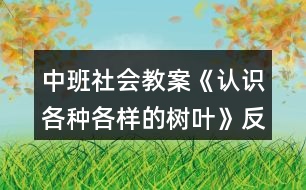 中班社會教案《認(rèn)識各種各樣的樹葉》反思