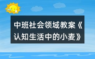 中班社會領(lǐng)域教案《認(rèn)知生活中的小麥》反思