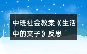 中班社會(huì)教案《生活中的夾子》反思