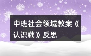 中班社會領(lǐng)域教案《認識藕》反思