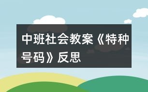 中班社會教案《特種號碼》反思