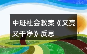 中班社會教案《又亮又干凈》反思