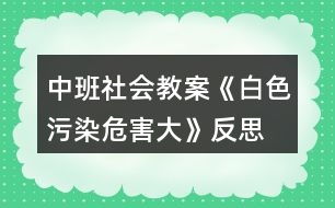 中班社會(huì)教案《白色污染危害大》反思