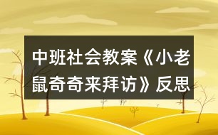 中班社會(huì)教案《小老鼠奇奇來(lái)拜訪》反思